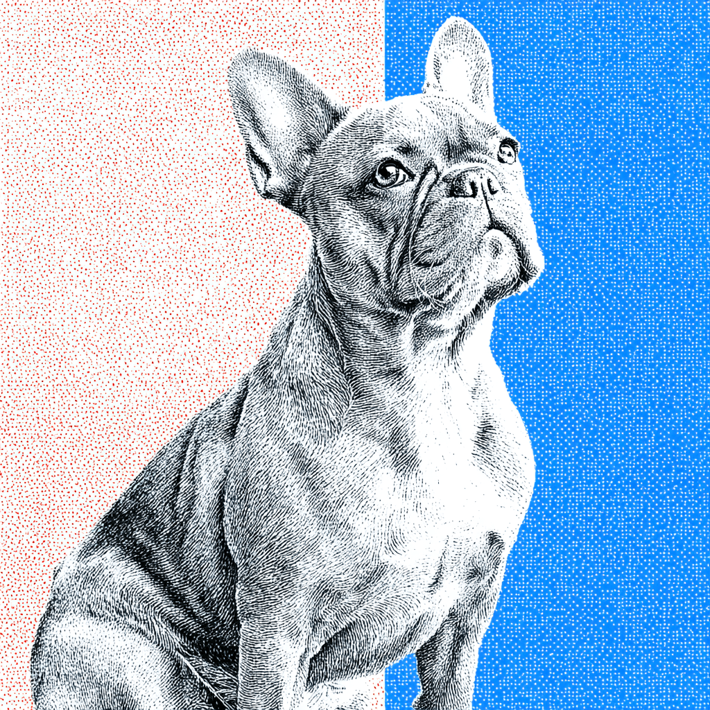 Pointillism pet portrait example