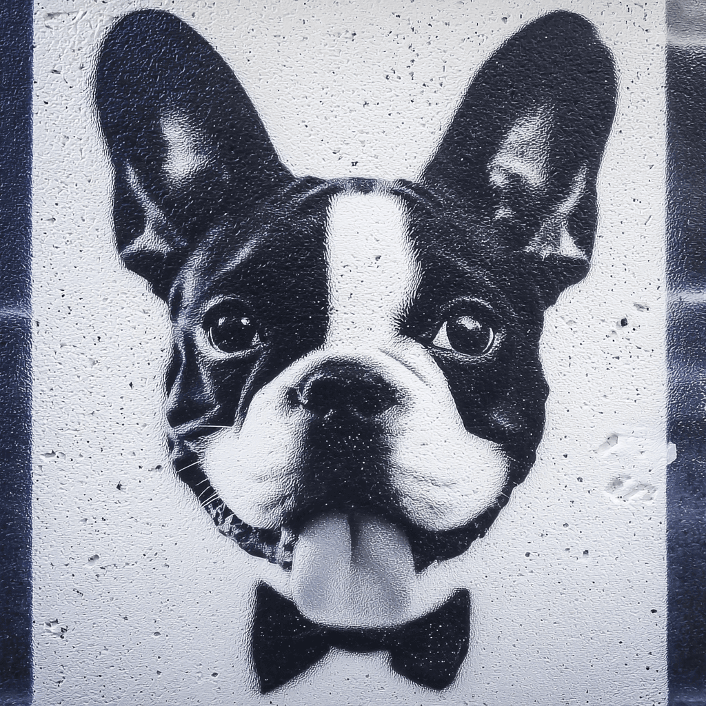 Street art stencil (Banksy-ish) pet portrait example